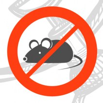 No image set 