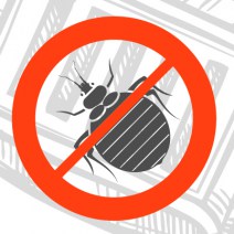 No image set 
