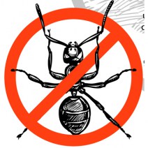 No image set 